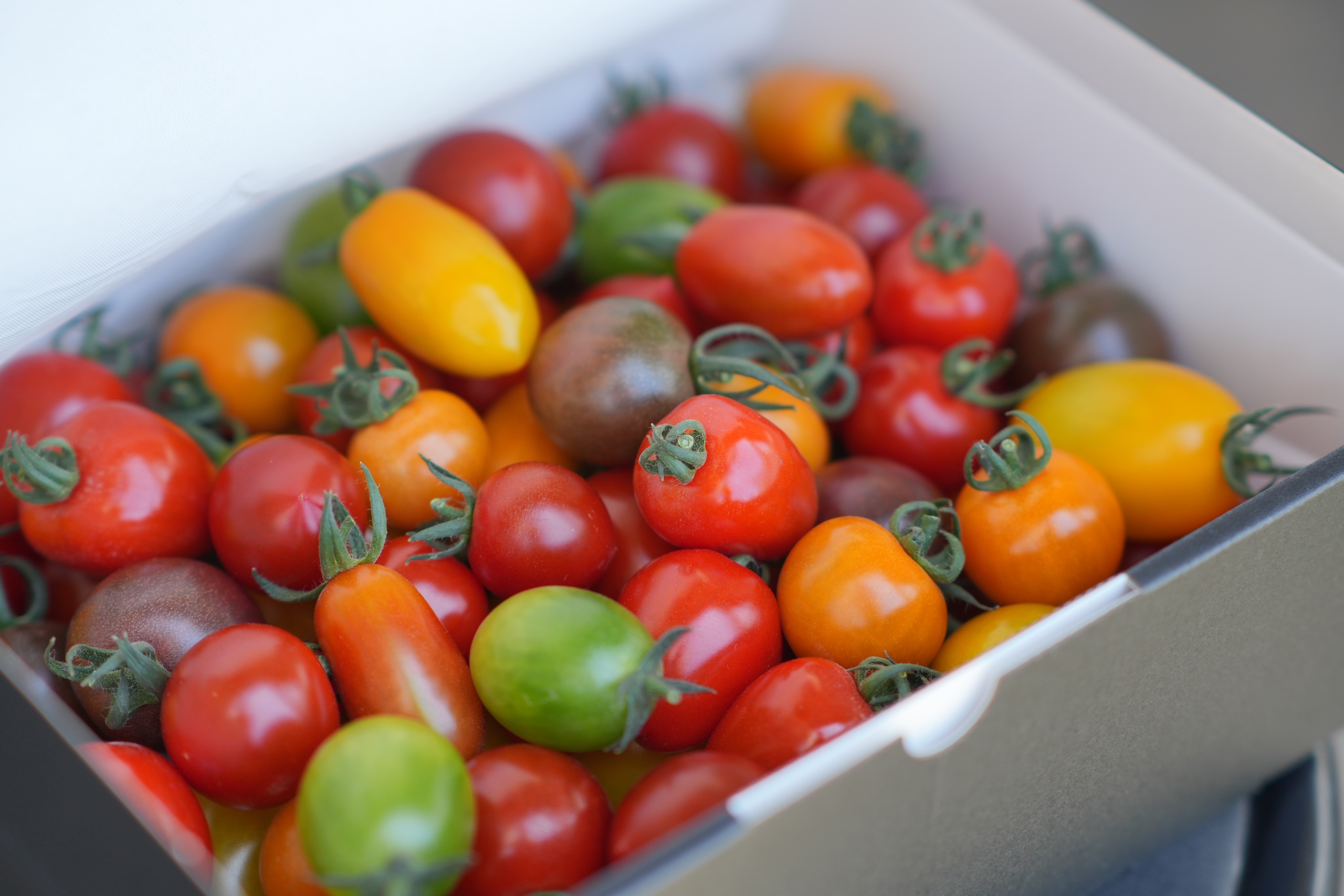 カラフルミニトマト