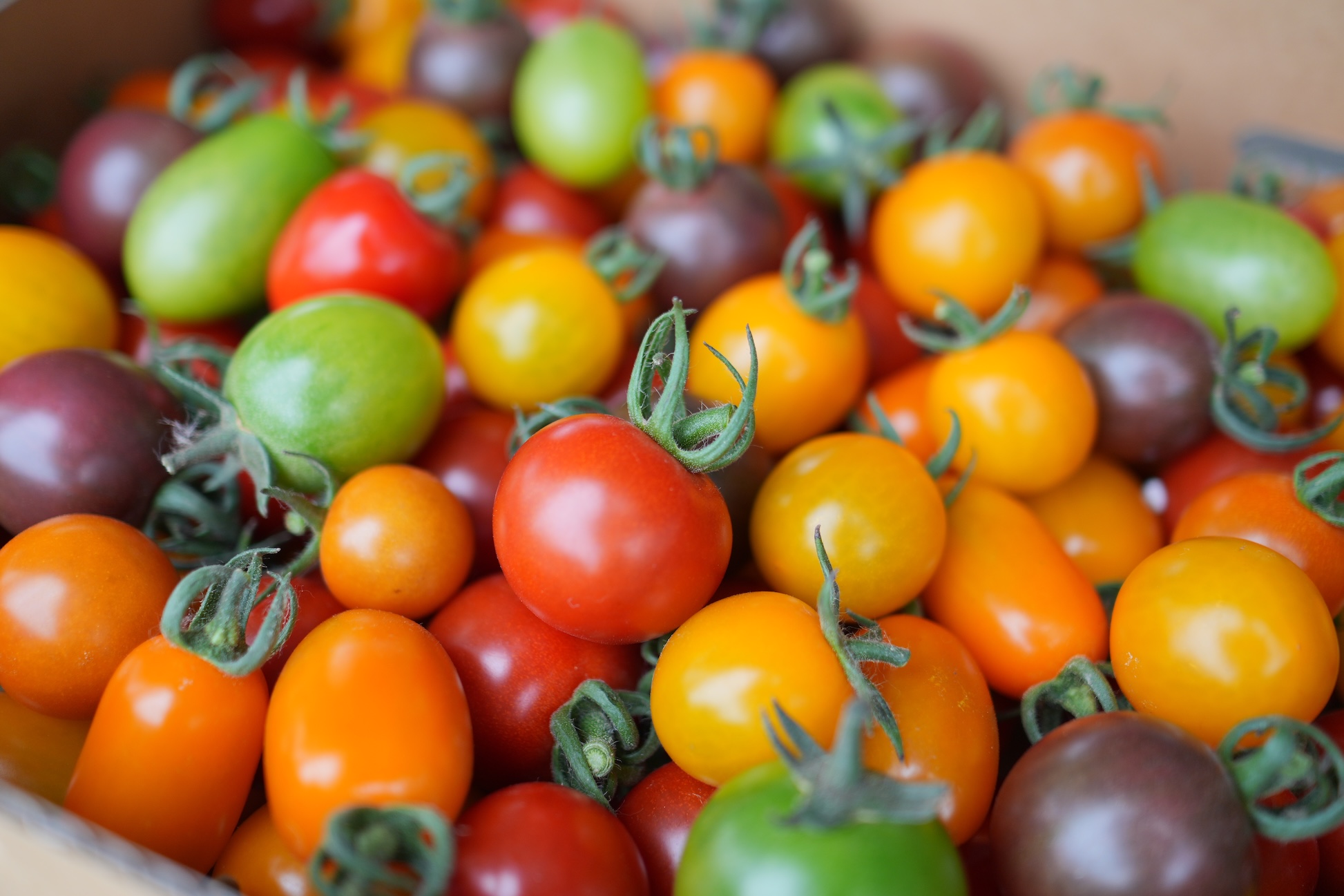 カラフルミニトマトの詰め合わせ